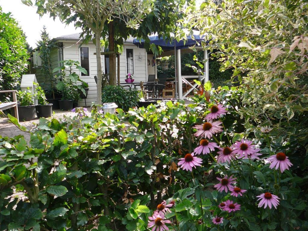 Locanda Al Drago Reuver Номер фото